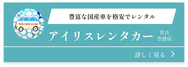 アイリスレンタカー
